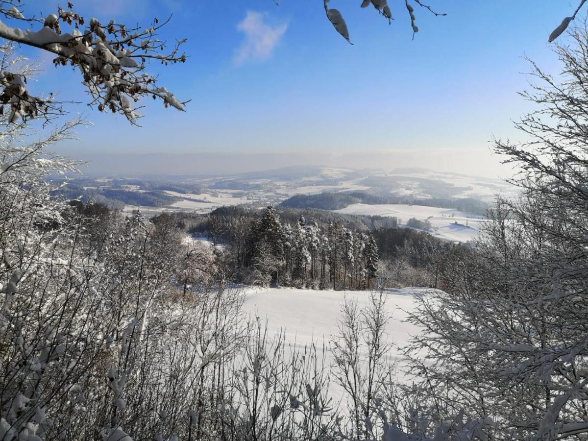 Loft Ueber Dem Bodensee Heiligenborn 외부 사진